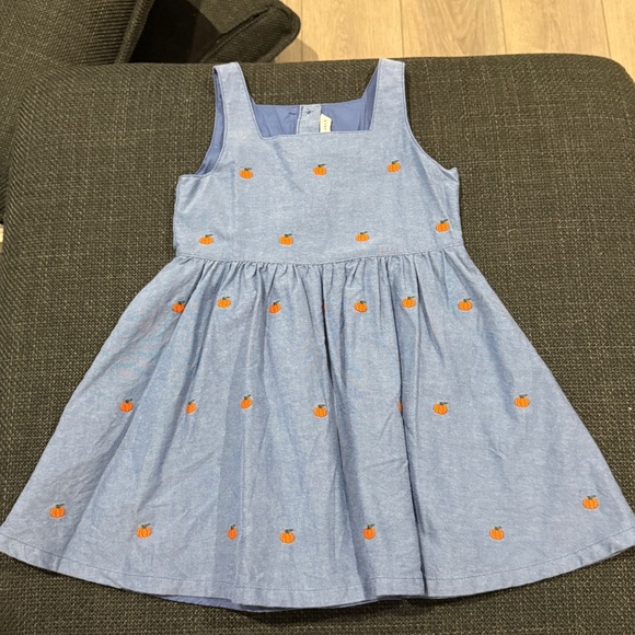 Janie and Jack Other - Janie and Jack Fall blue chambray pumpkin dress